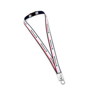 Llavero BMW M Motorsport carabiner 700015-200