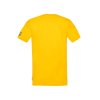camiseta-ayrton-senna-collegiate-asle01006-ylw