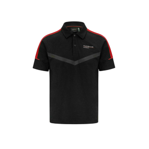 Polo Porsche Motorsport FW