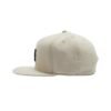 gorra-dc-shoes-empire-snapback-beige-adyha04161-wdw0